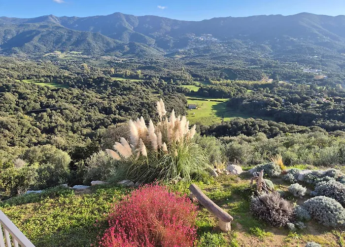 Vue De Reve